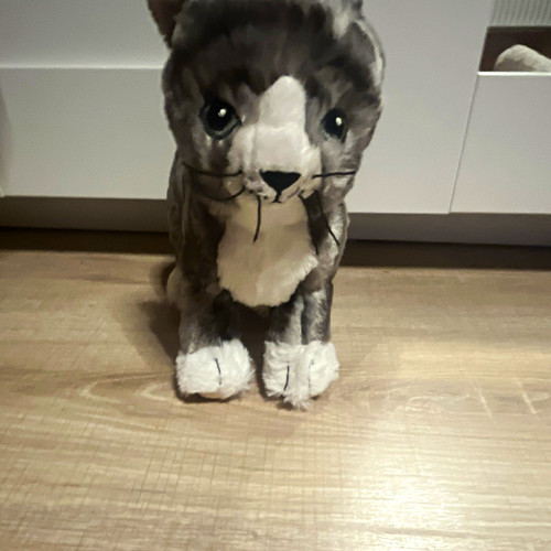 Stoff plüschtier katze - plüschtier,