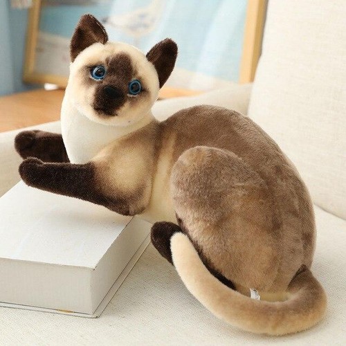 Katze kuscheltier 25 cm - katze,