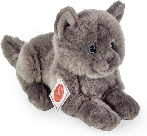 Teddy hermann kartäuser katze - kartäuser,