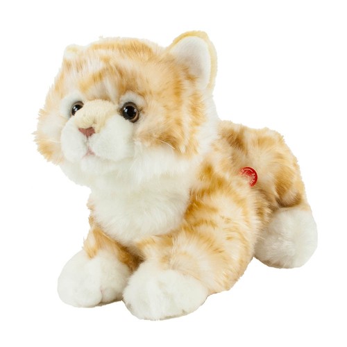 Katze mit stimme - katze,