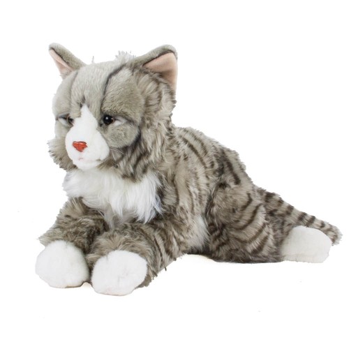 Kuscheltier maine coon katze - coon,
