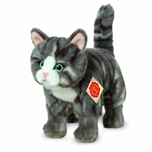 Teddy hermann katze - teddy,