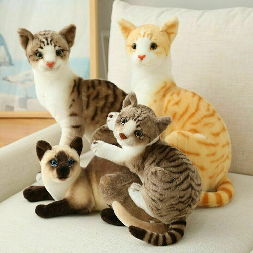Realistische katzen - realistische,
