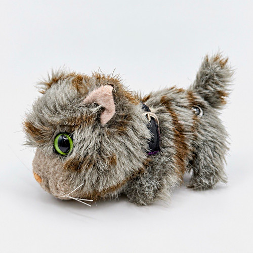 The cat collection - cat,