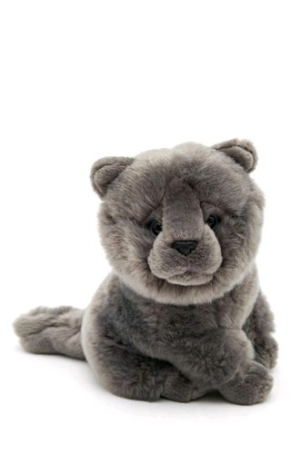 Hermann teddy kater - teddy,