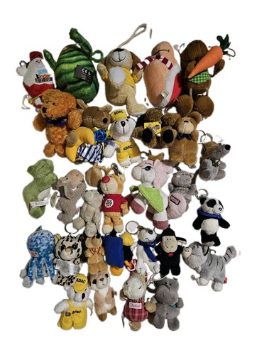 29x schlüsselanhänger set - schlüsselanhänger,