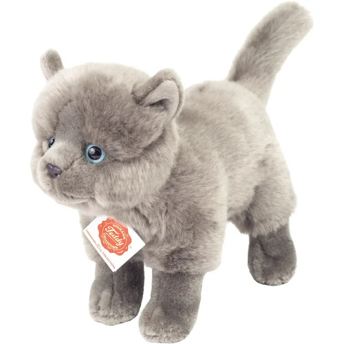 Teddy hermann kartäuser - kartäuser, katze
