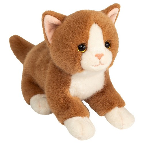 Ingwer weiß flauschig - &, katze