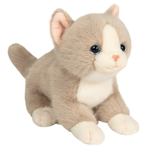 Grau weiß flauschig katze - grau,