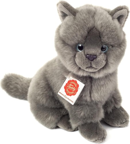 Teddy hermann kartäuser katze - teddy,