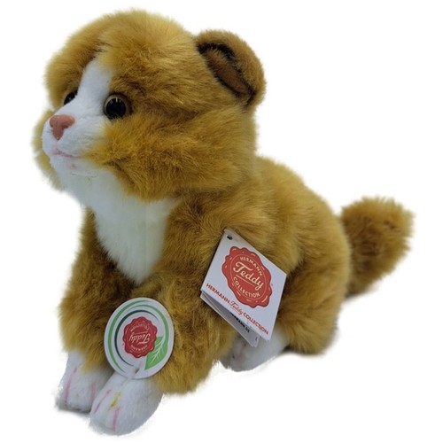 Teddy hermann katze sitzend - katze,