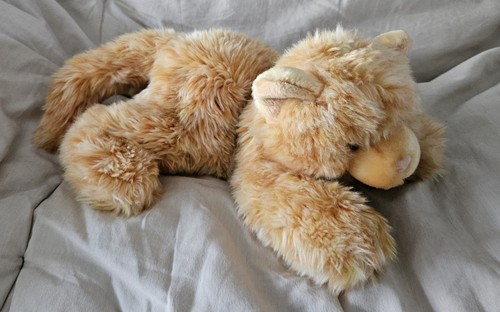 Süße katze orange von teddy - orange,