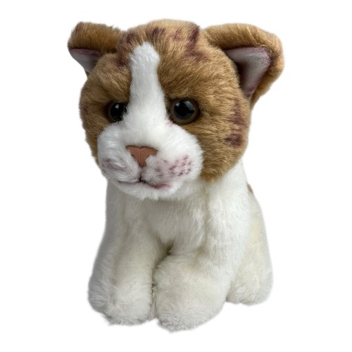 Katze kuscheltier plüsch - katze,