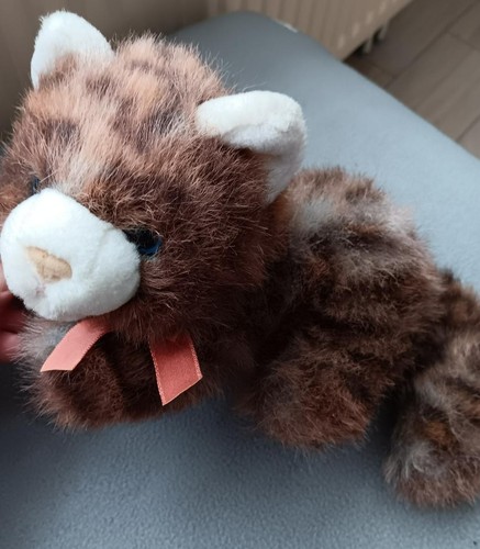 Kuscheltier katze 23 - katze, cm